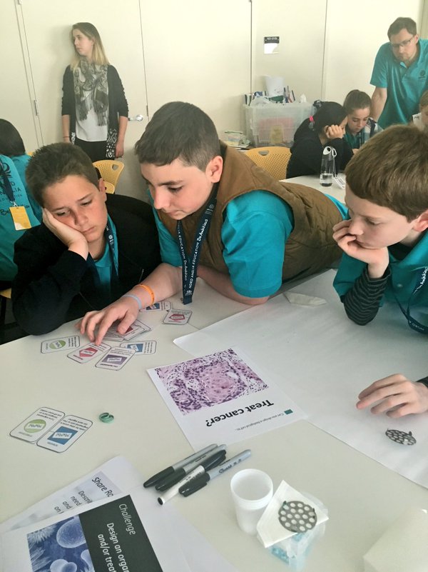 Science Festival | Nord Anglia Education-Live from the Cambridge Science Festival at MIT-MIT Cancer