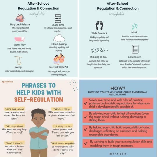 self regulation 
