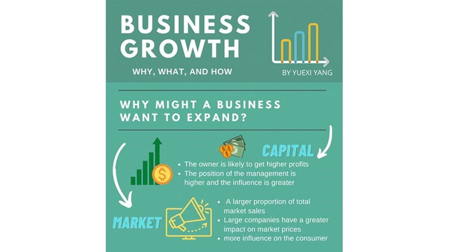 Business growth 1  Yang Y_1