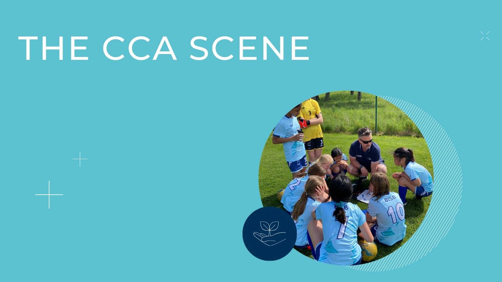 The CCA Scene - The CCA Scene