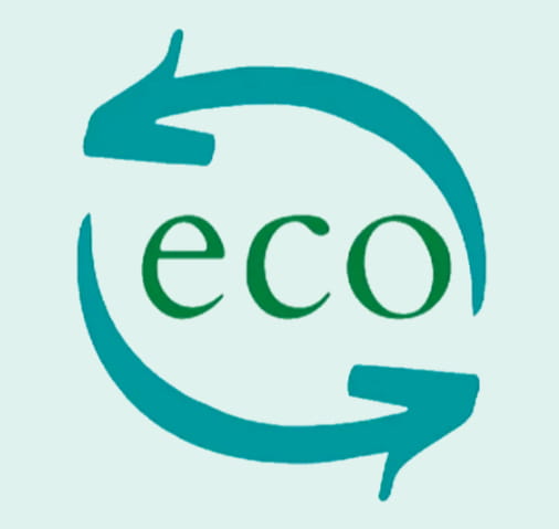 Year 12 Students Found Eco Circle International - year-12-students-found-eco-circle-international