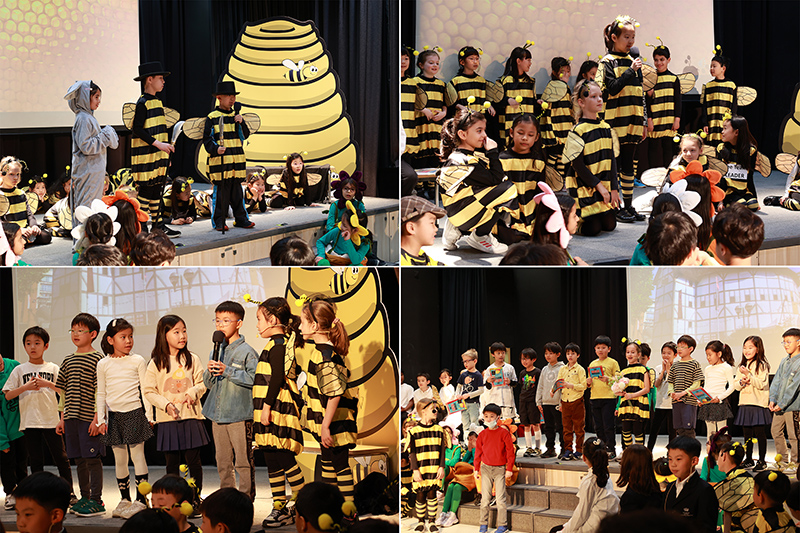 Bee-dazzling Year 3 Production of The Bee Musical | BSB Sanlitun - Bee-dazzling Year 3 Production of The Bee Musical