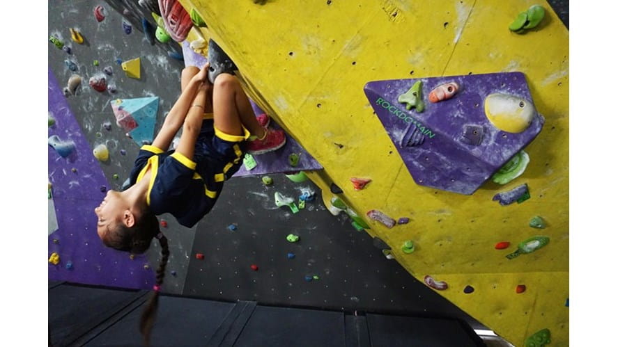 The Benefits of Learning to Climb | St. Andrews International School Bangkok-the-benefits-of-learning-to-climb-rock domain upside down