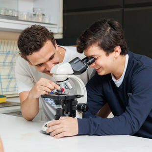 SGS_Dominican_2024_002