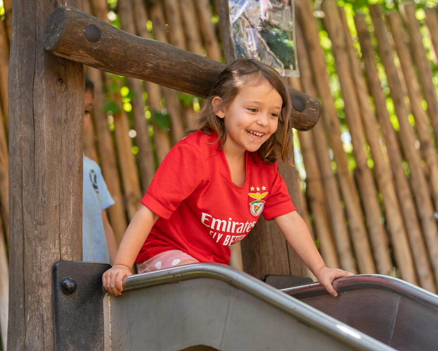 Image_ICS_Madrid_2022_314