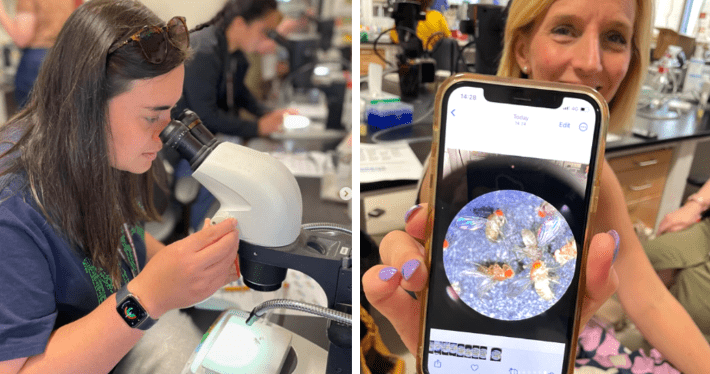 Professional learning at MIT: taking STEAM to the next level in our schools - Professional learning at MIT taking STEAM to the next level in our schools