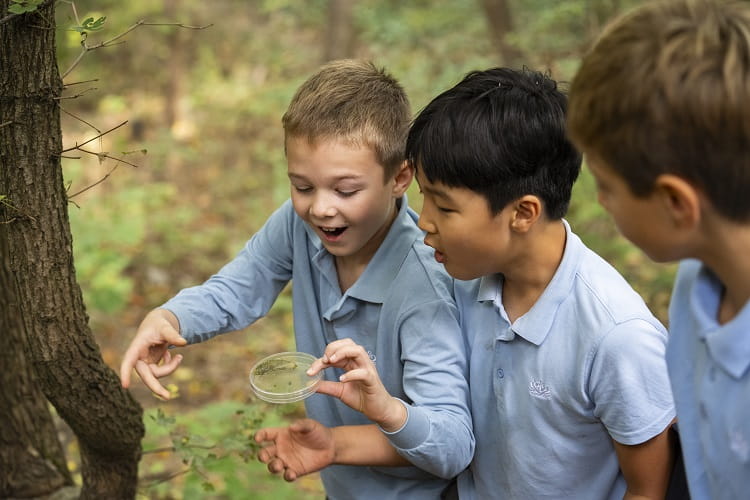 Nord Anglia school in Budapest first to achieve Gold Social Impact Distinction - Nord Anglia school in Budapest first to achieve Gold Social Impact Distinction