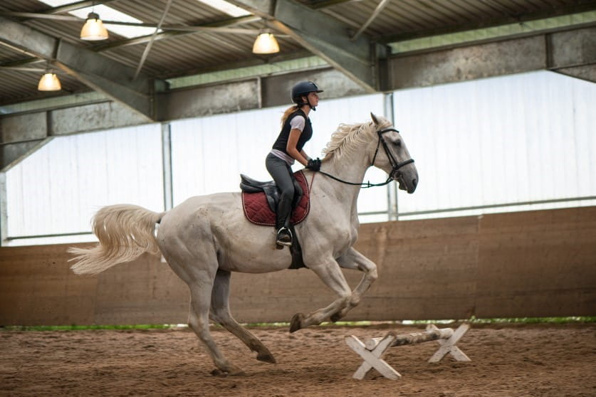 CDLSummer camp 10837x558jpg