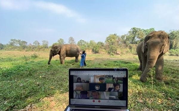 St Andrews Bangkok Elephant Project