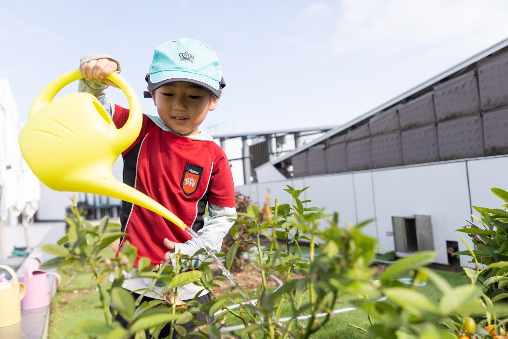 Nord Anglia Education’s schools working towards new Social Impact Distinctions - Nord Anglia schools working towards new Social Impact Distinctions