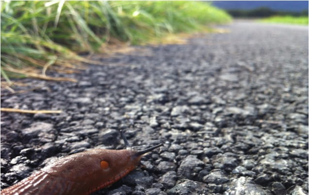 Congratulations to the Winners of The Global Classroom 2015 Focus on Photography Competition - Congratulations to the Winners of The Global Classroom 2015 Focus on Photography Competition