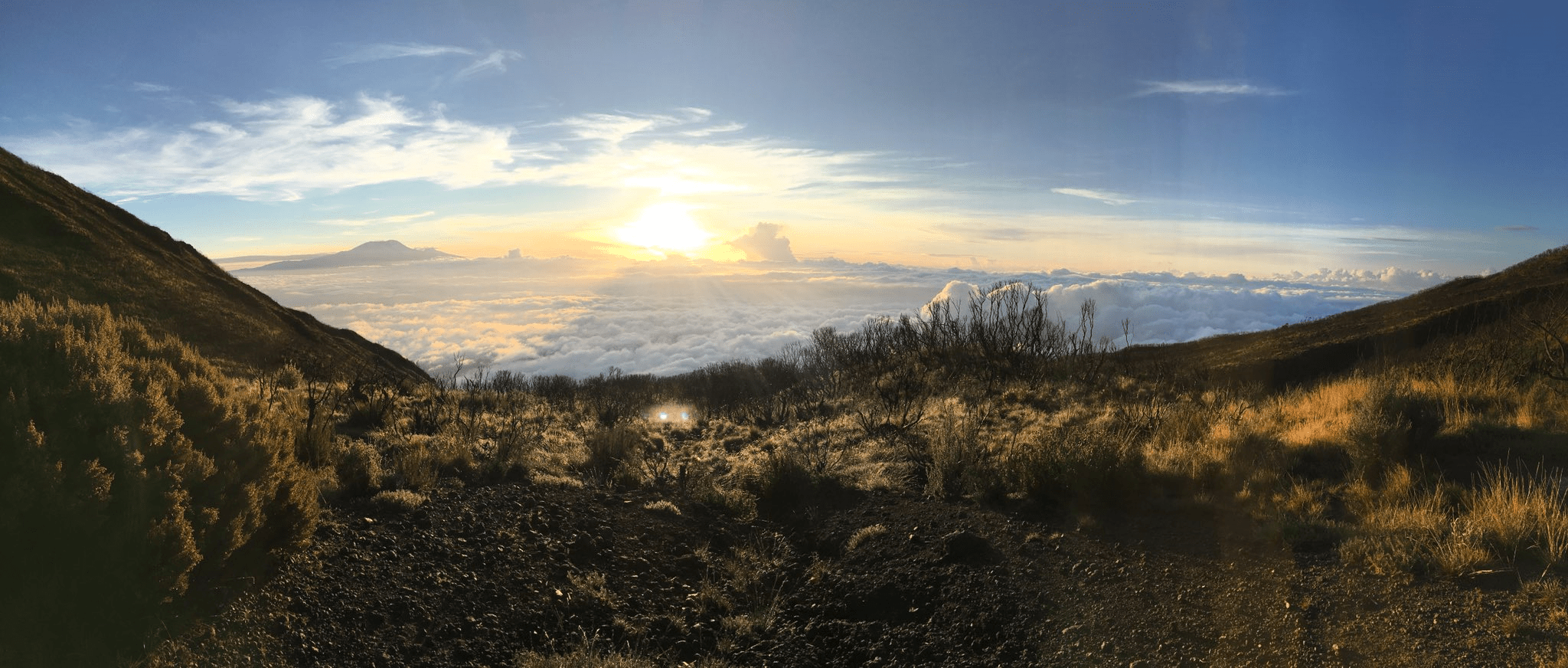 zzzzzzzzzzzzzzzzzzzzzzzzzzz