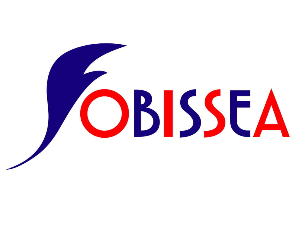 FOBISSEA Logo  Beijing Primary Music Carnvial