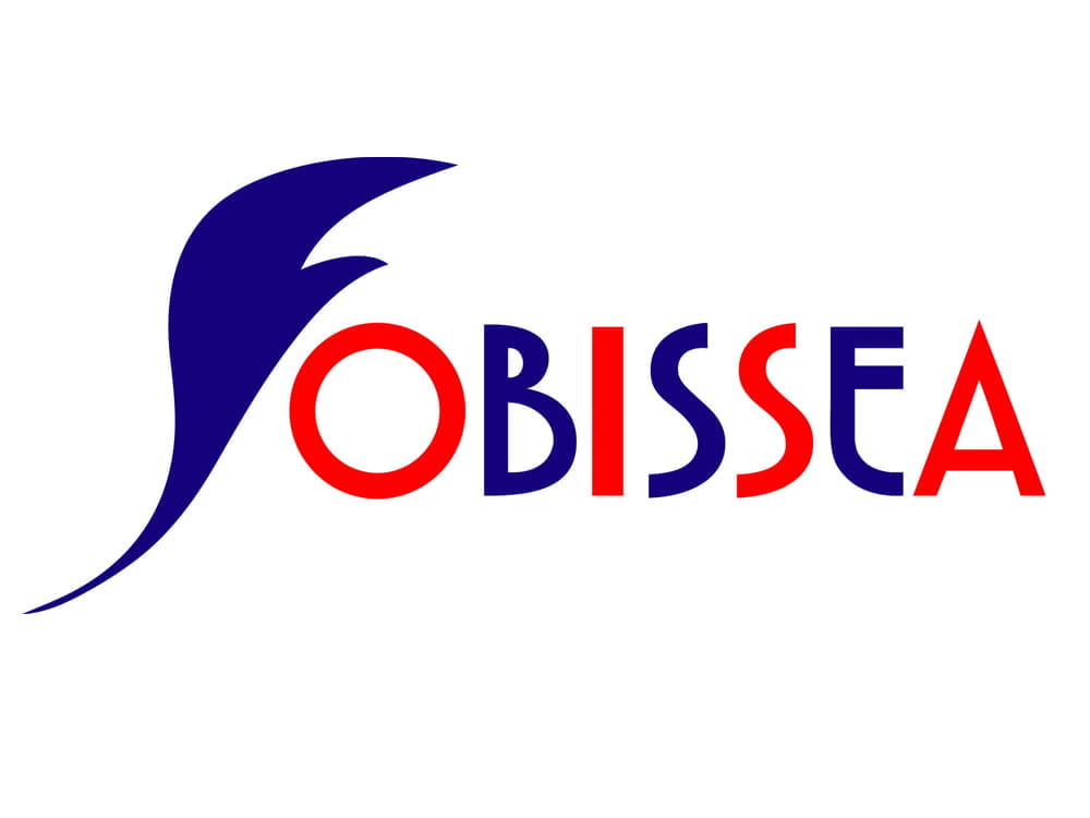 FOBISSEA Logo Beijing Primary Music Carnvial