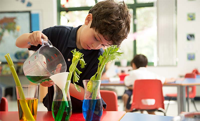 Charlotte students reduce food waste | Nord Anglia Education - Students work with local businesses to reduce food waste in Charlotte