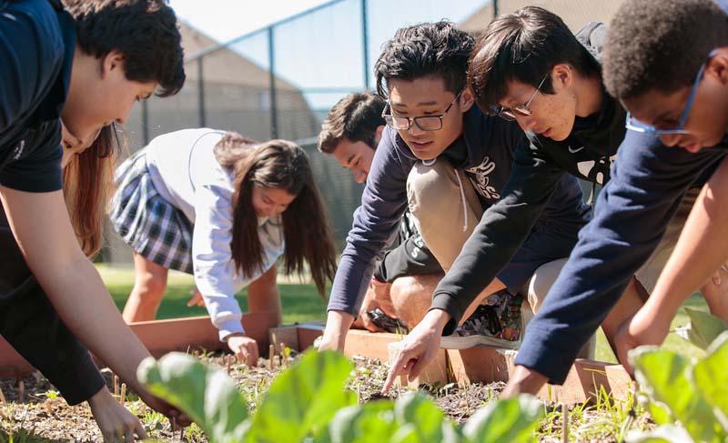 Students, teachers and staff from Nord Anglia Education schools raise more than $650,000 for charity - Students teachers and staff from Nord Anglia Education schools raise more than 650000 for charity