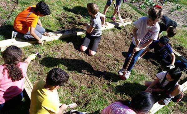 Nord Anglia students create innovative solutions to battle world hunger - Nord Anglia students create innovative solutions to battle world hunger