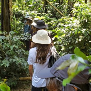 nae expedition tanzania