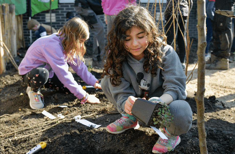 Moving to Rotterdam Guide For Expat Families | NAIS Rotterdam - Copy of Feature Cards Pattern