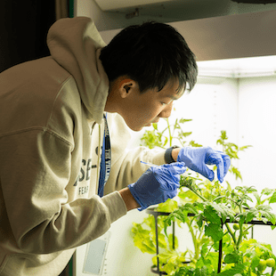 International Schools in Houston | Nord Anglia Education  - Feature Cards Pattern