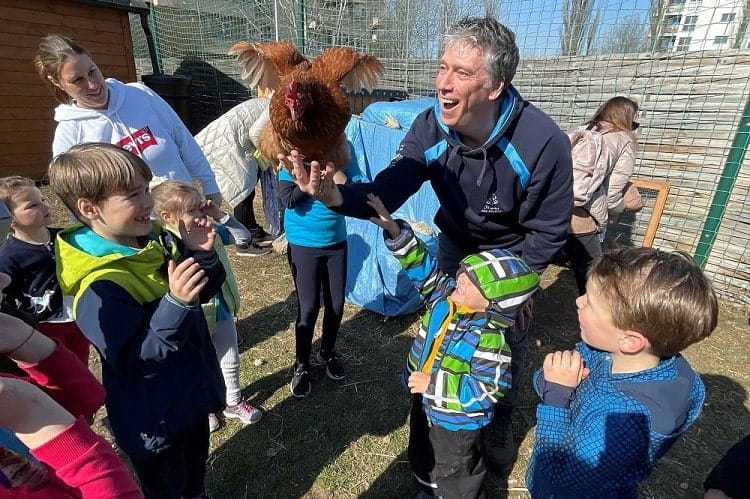 Friends of Ukraine Chickens