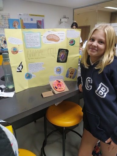 Nord Anglia STEAM Festival in Monterrey Mexico - Nord Anglia STEAM Festival in Monterrey Mexico
