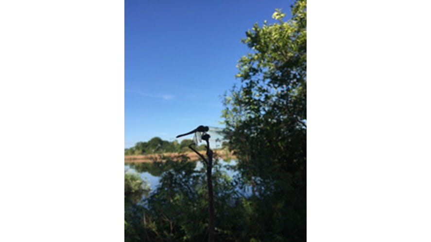 00PD0000017lThNMAUIMG_8702