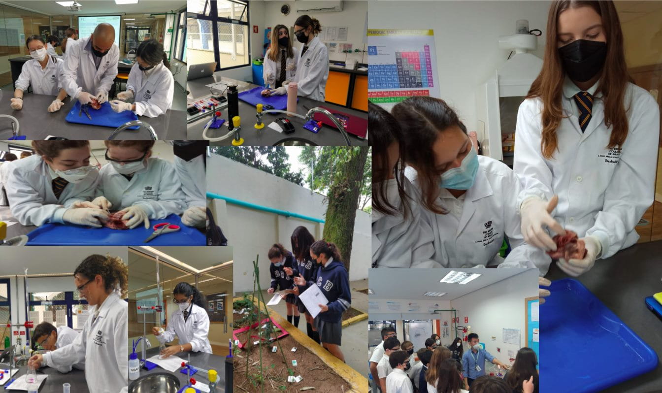 How the Covid-19 pandemic has shown us the importance - how-the-covid-19-pandemic-has-shown-us-the-importance-of-experimentation-in-science-lessons