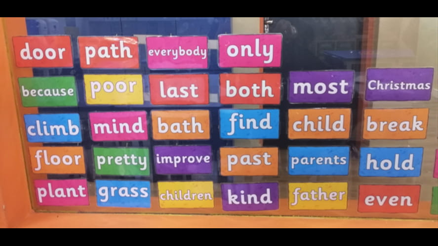 Primary 1