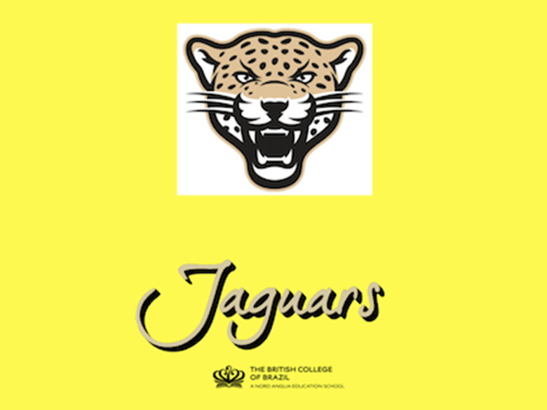 School House Jaguars