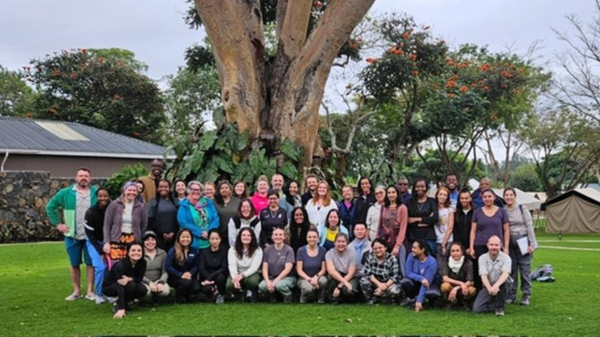 wwwreallygreatsitecom 3jpg