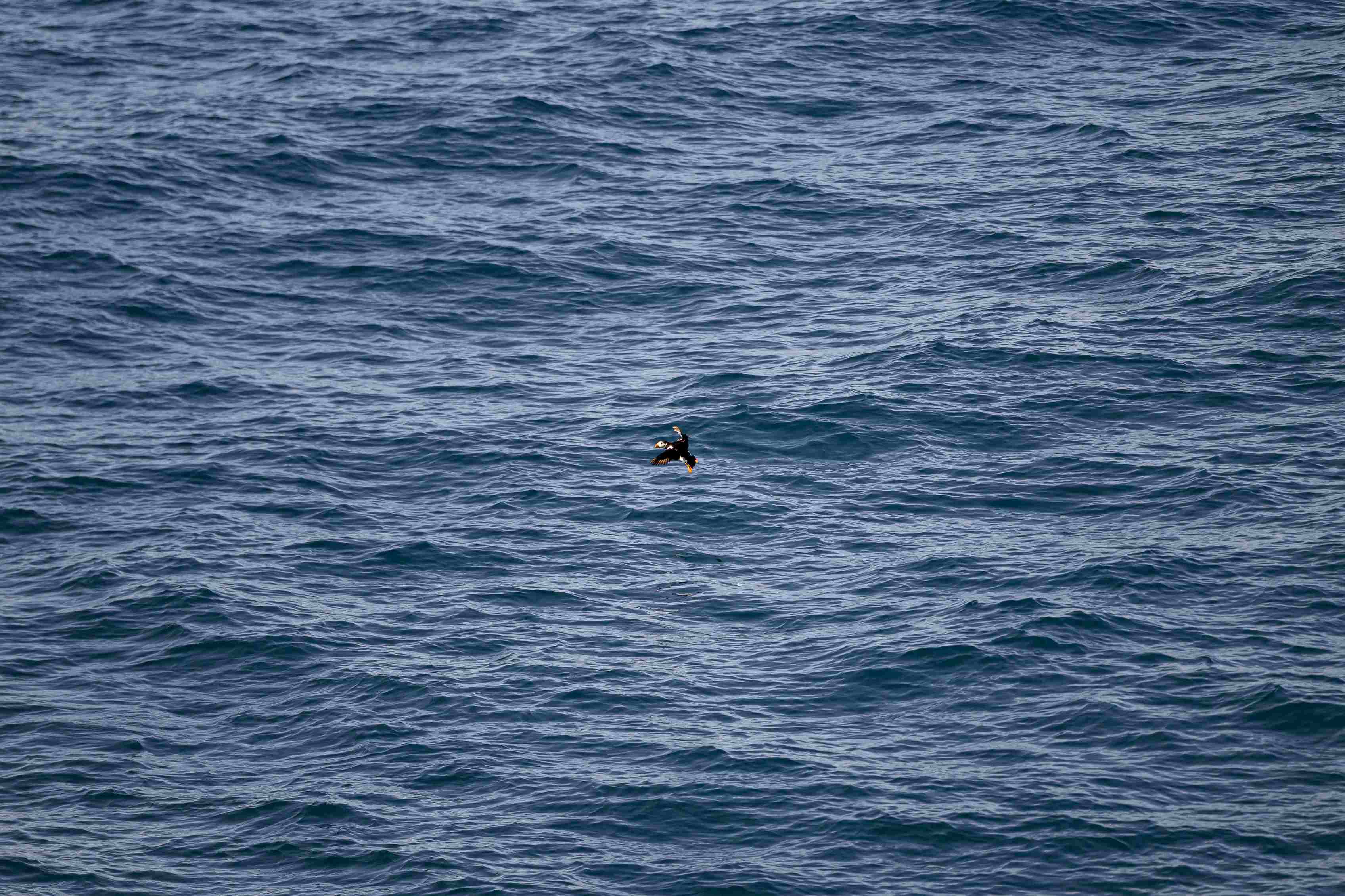 Iceland test611zonjpg