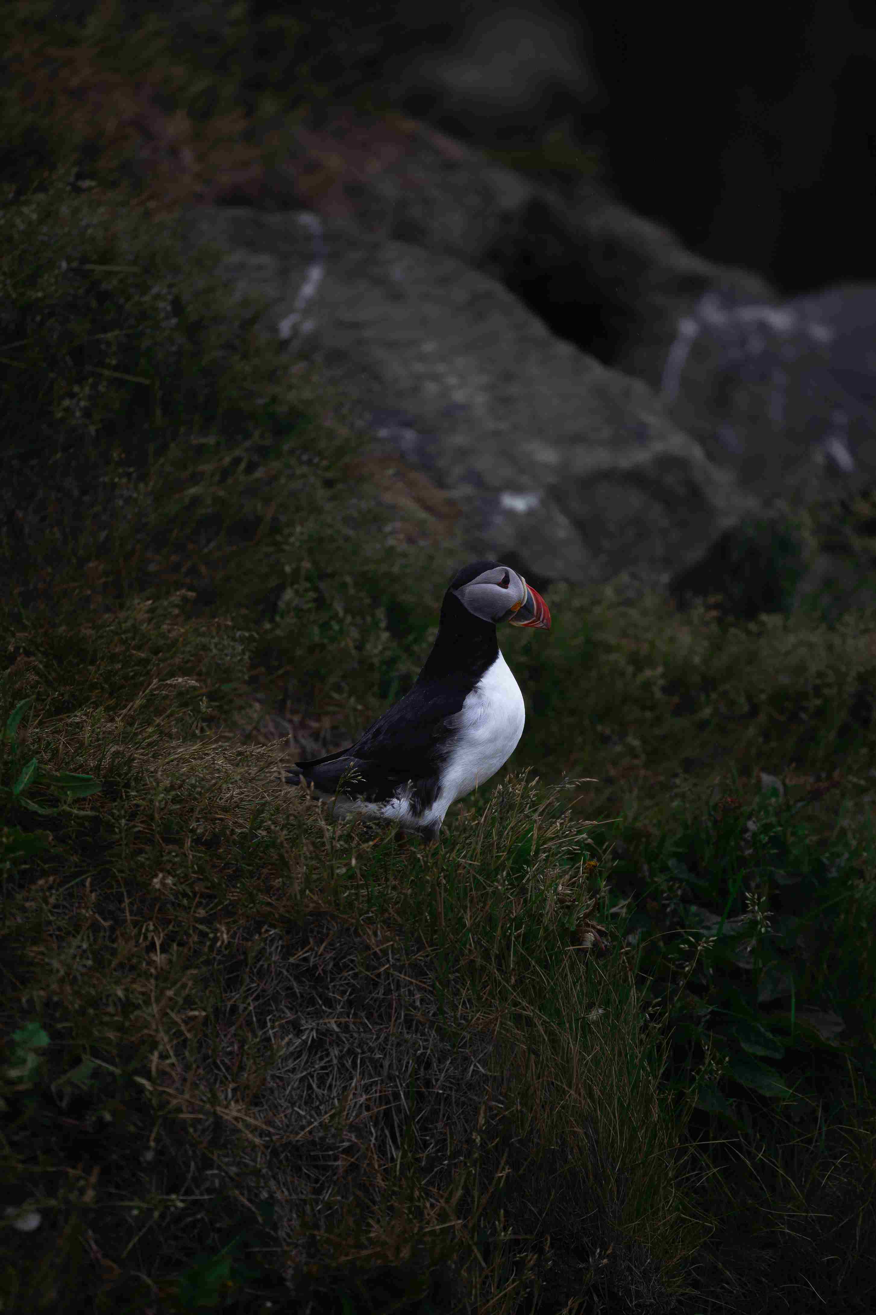 Iceland test811zonjpg