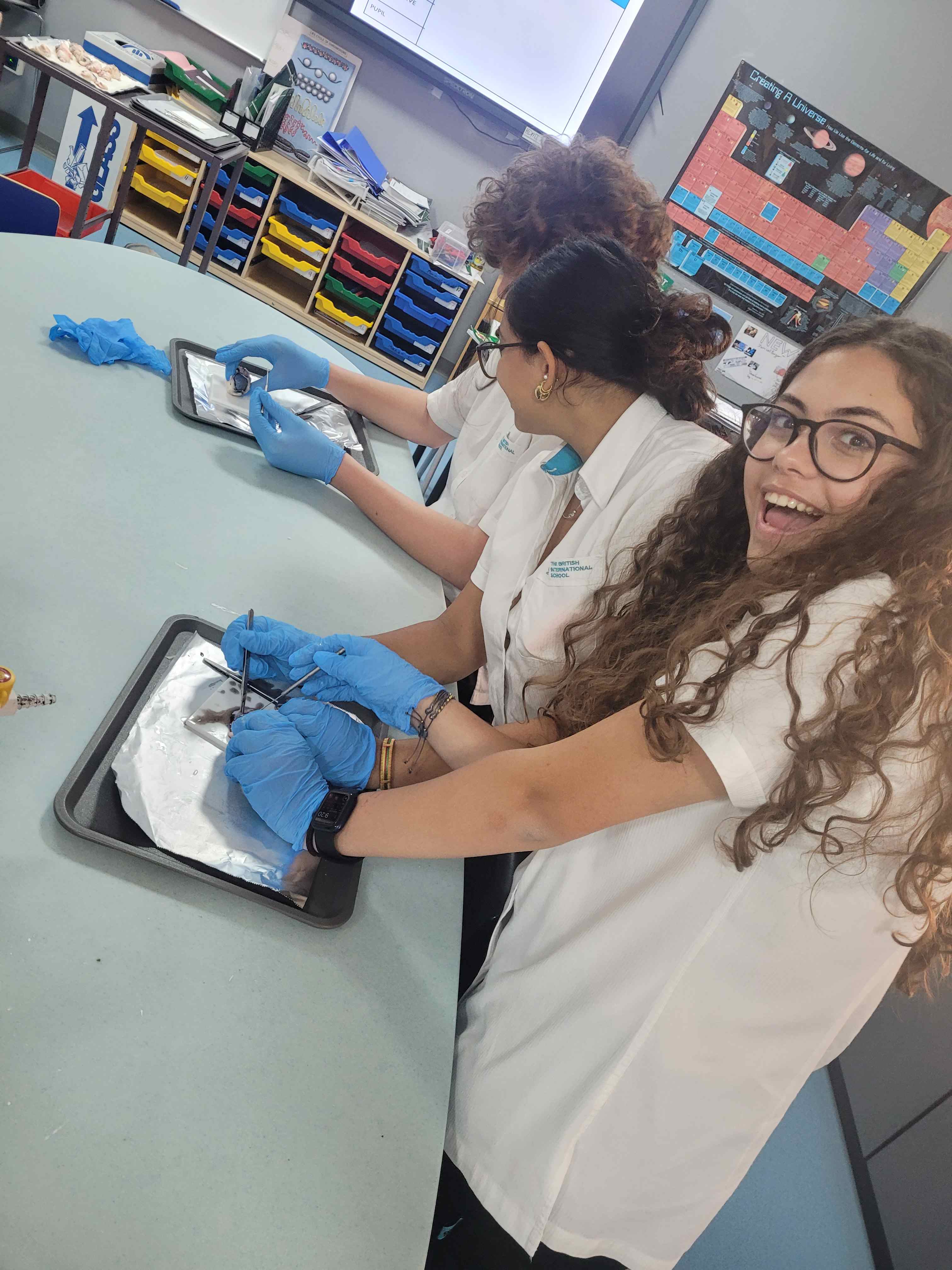Year 10 Eye Dissection - Year 10 Eye Dissection