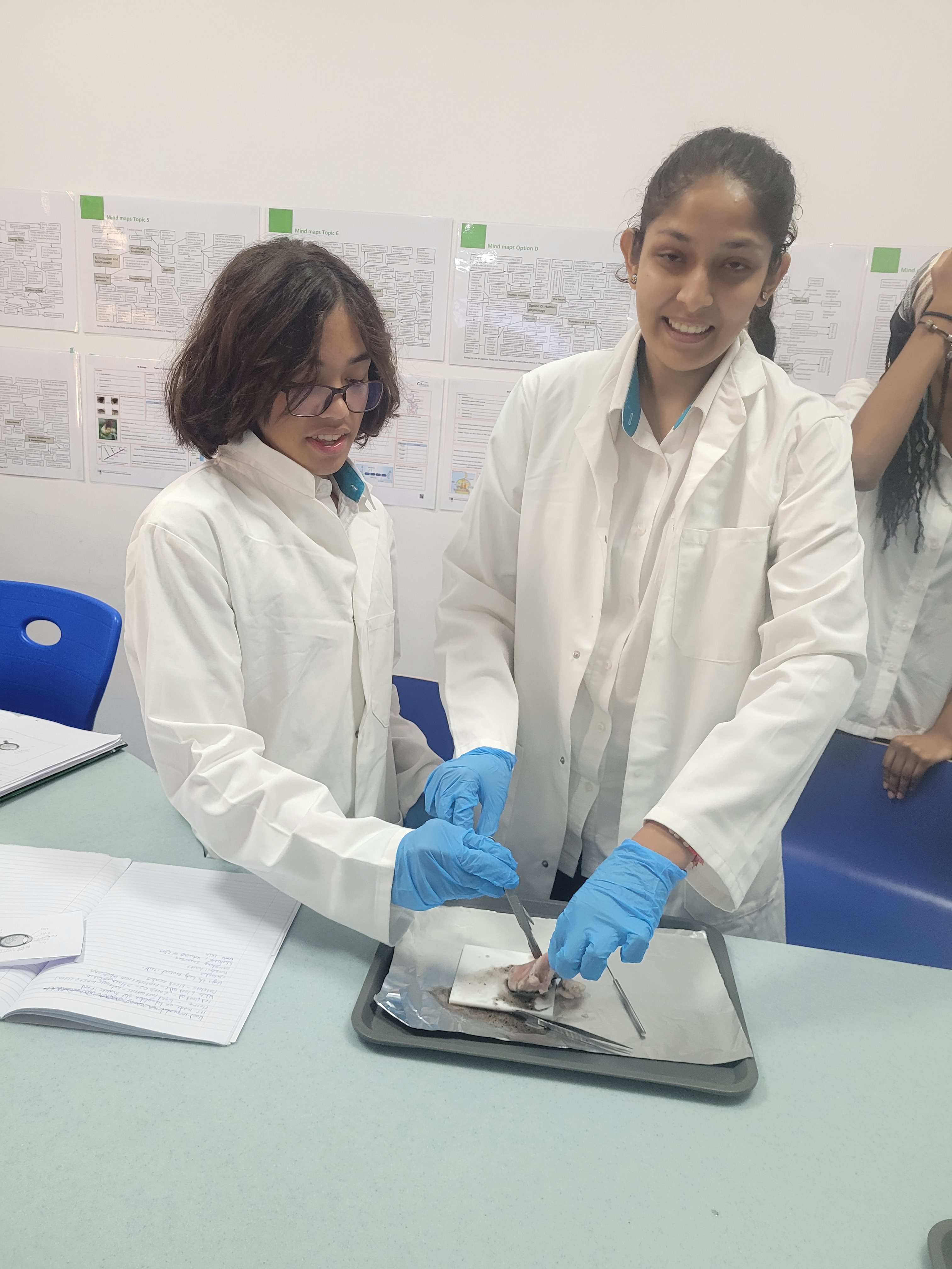 Year 10 Eye Dissection - Carousel For News Detail