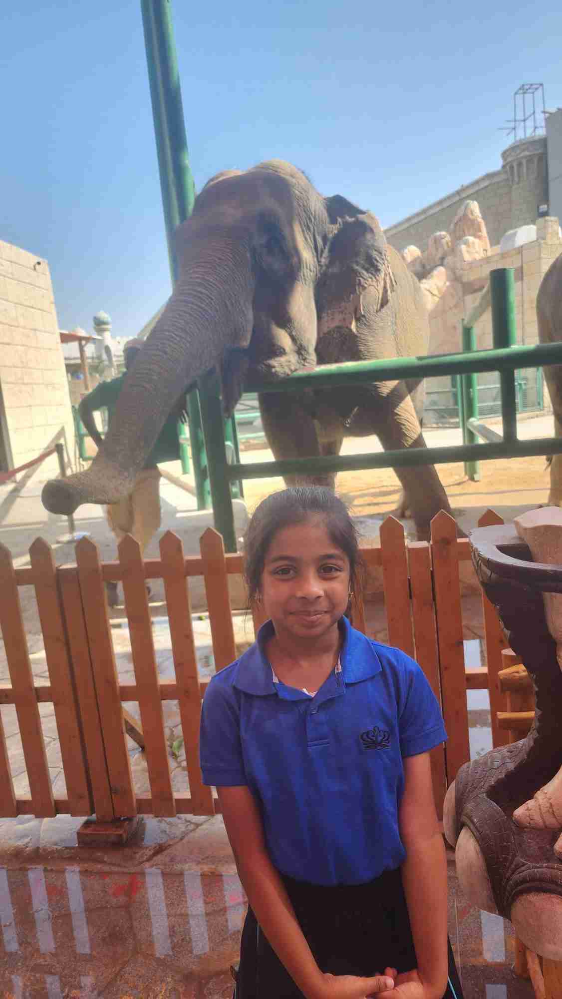 Year 2 trip to the Zoo - Carousel For News Detail