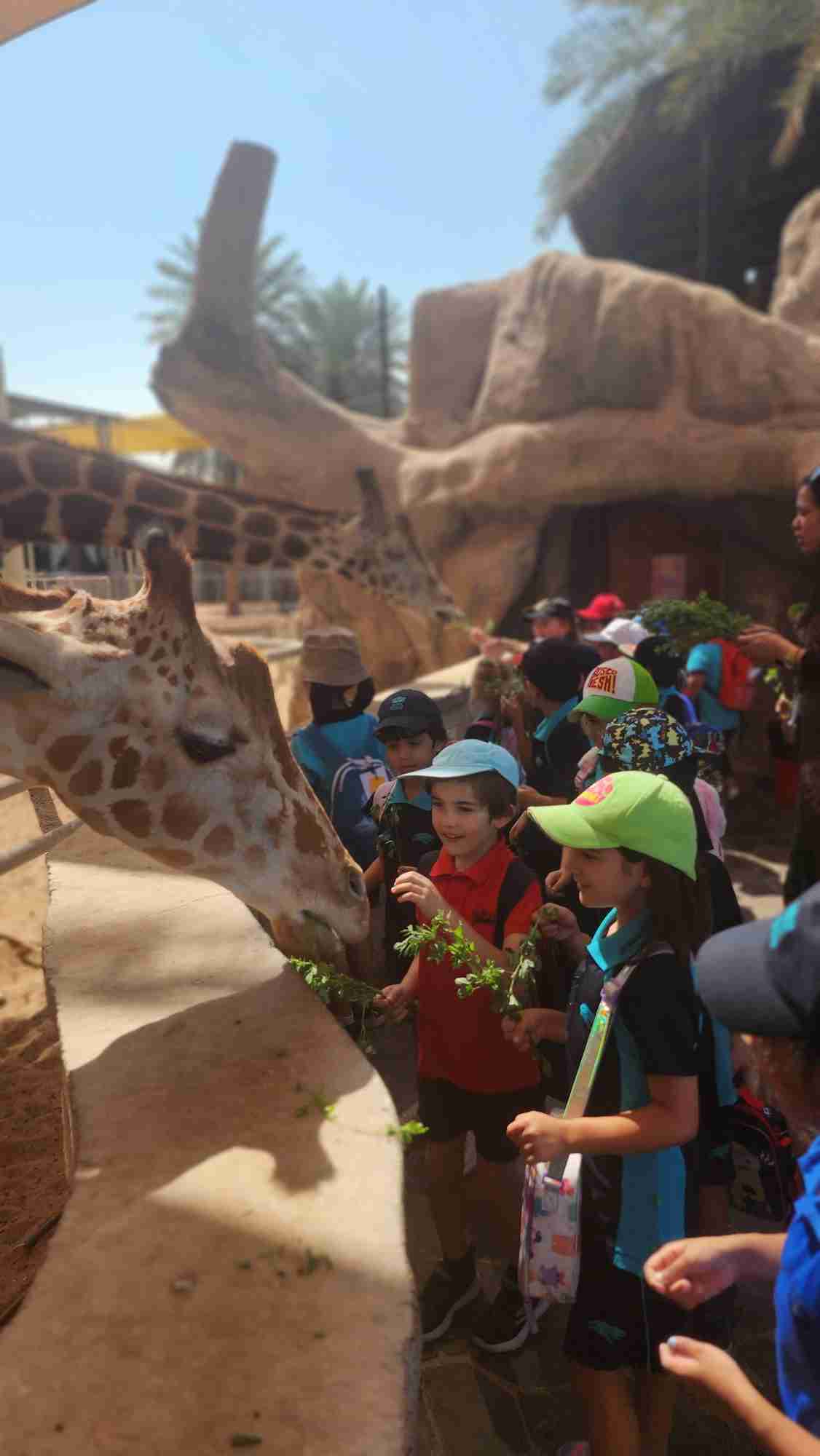 Year 2 trip to the Zoo - Year 2 trip to the Zoo