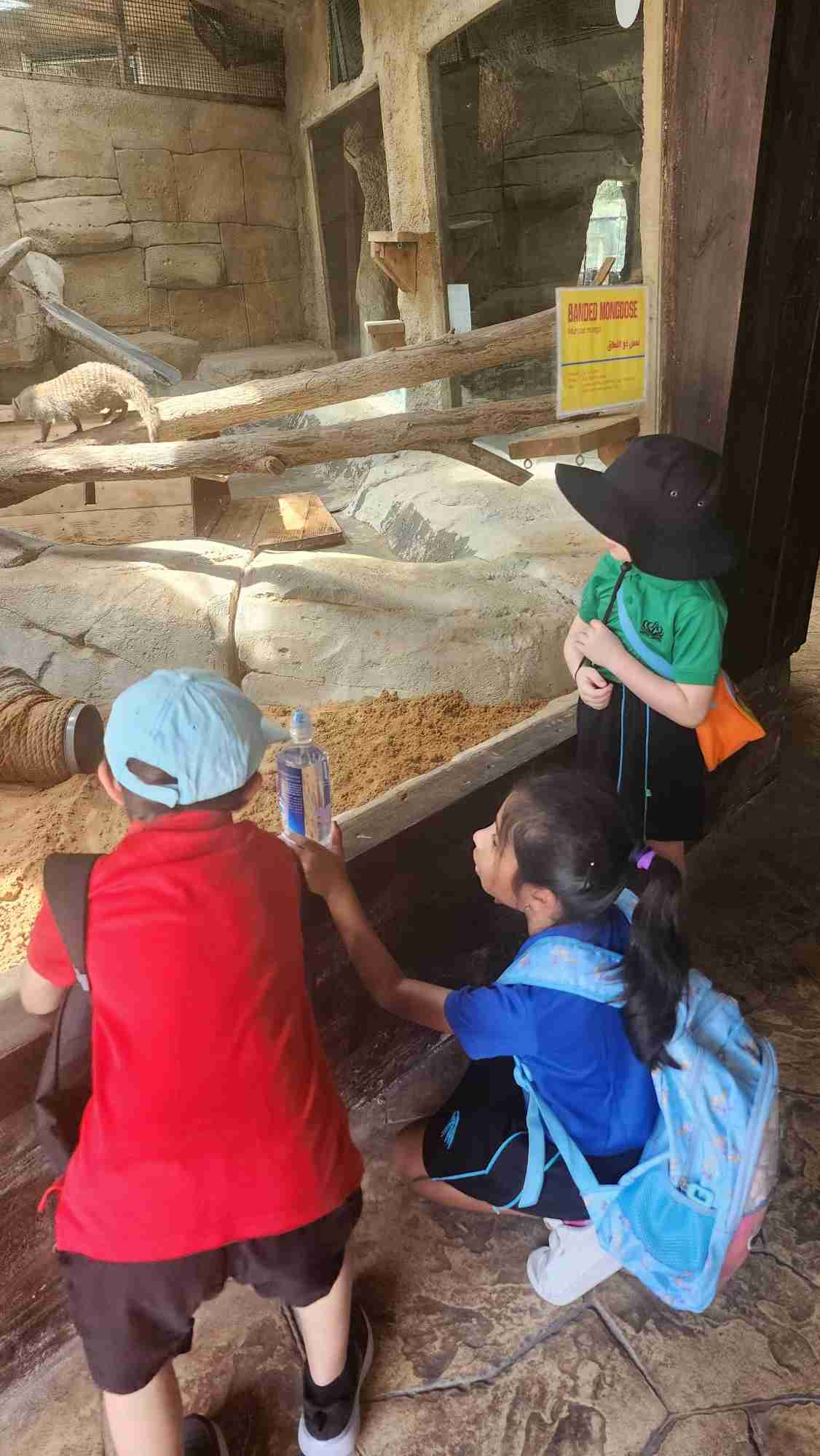 Year 2 trip to the Zoo - Carousel For News Detail