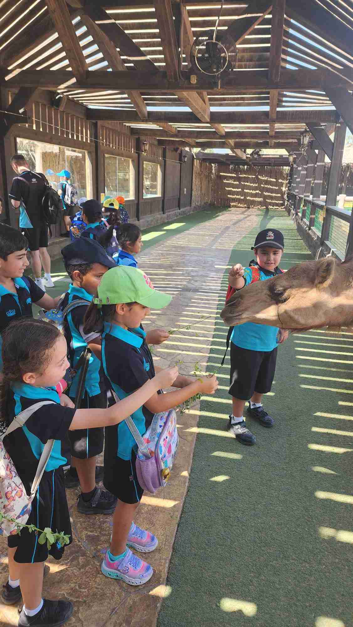 Year 2 trip to the Zoo - Carousel For News Detail