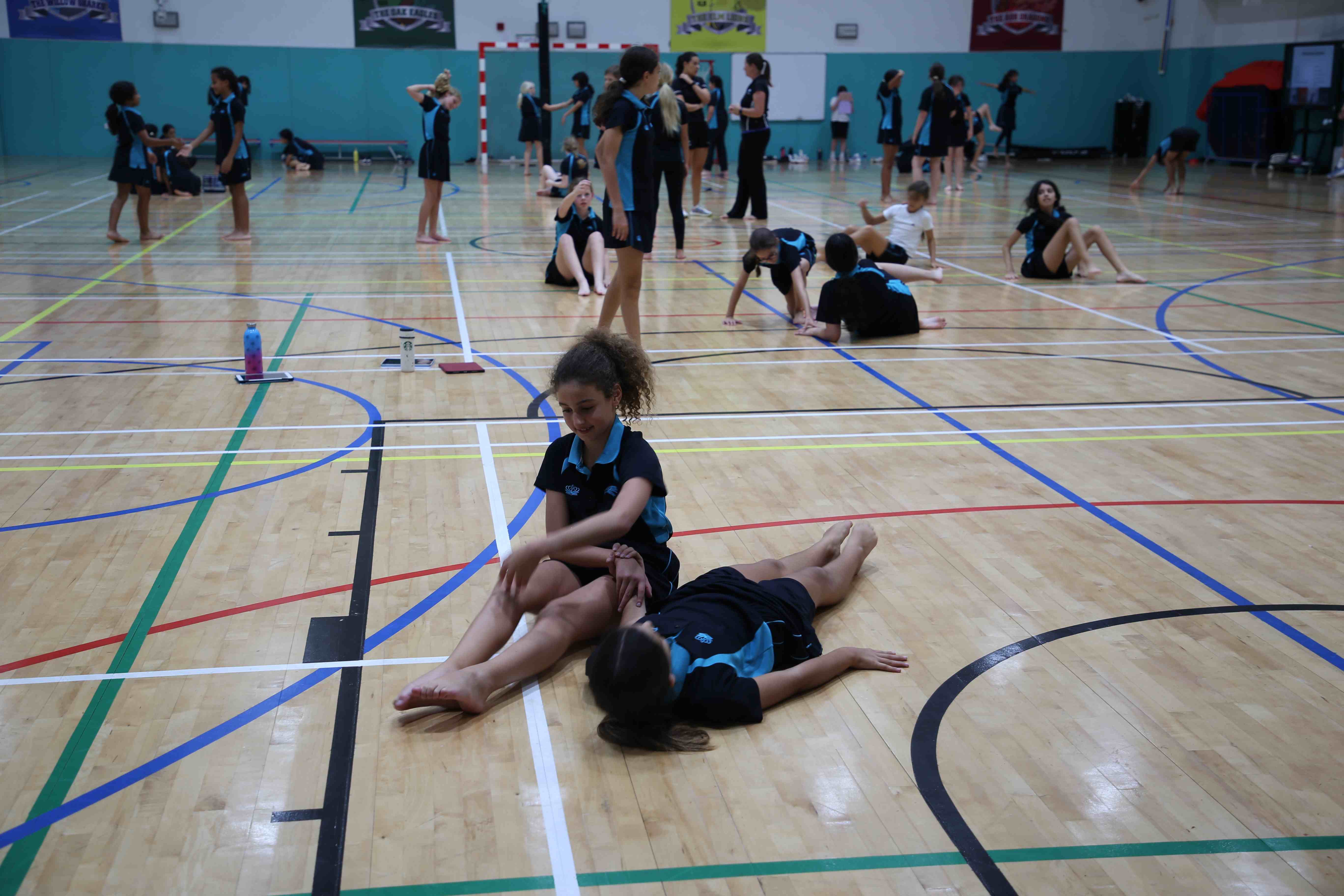 Dancing in the Curriculum - Carousel For News Detail