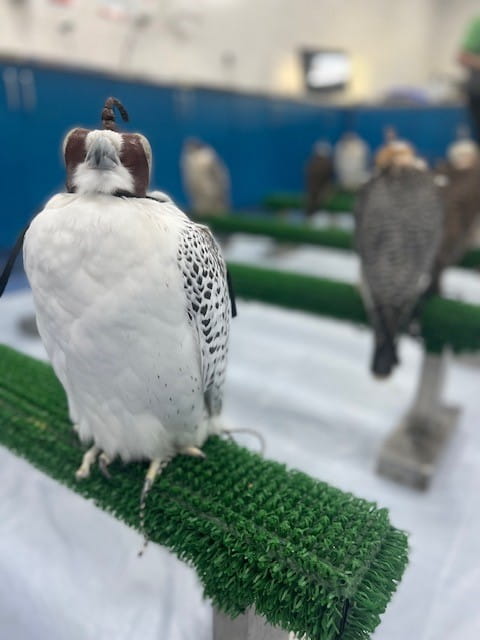 Parent Out and About - Carousel For News Detail