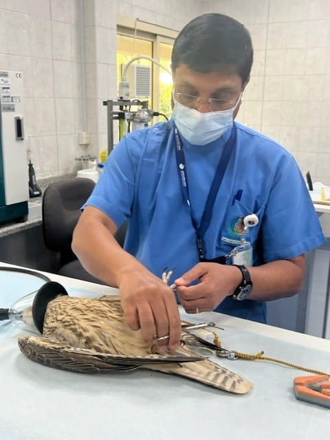 Parent Out and About - Carousel For News Detail