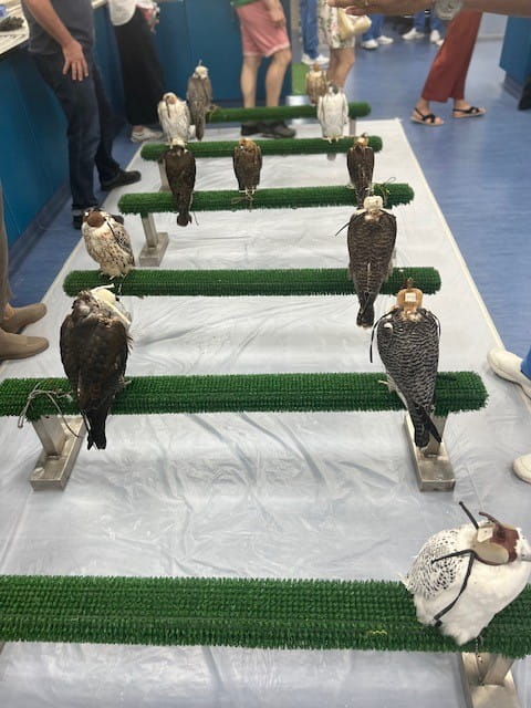 Parent Out and About - Carousel For News Detail