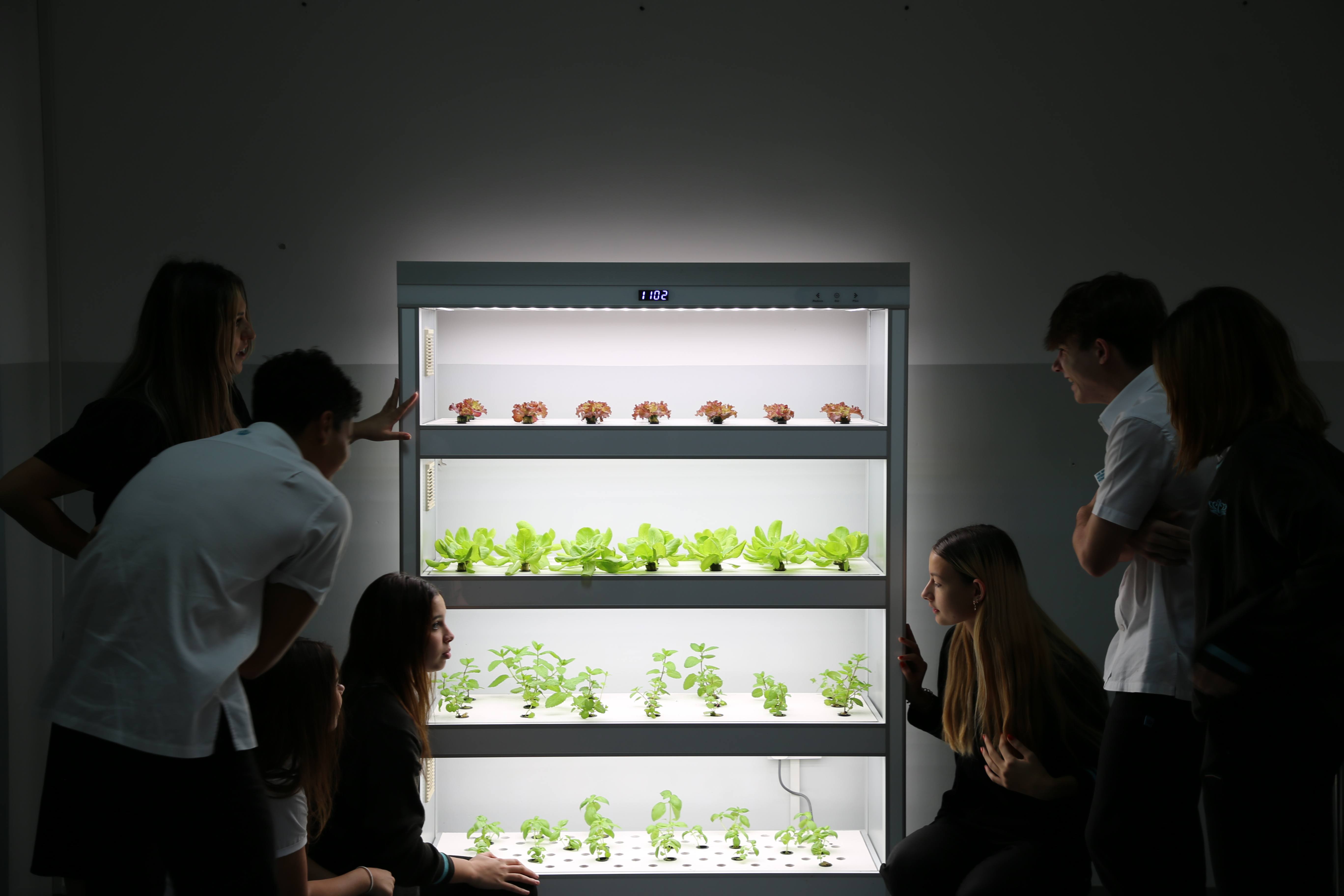 Vertical Hydroponic Garden - Vertical Hydroponic Garden