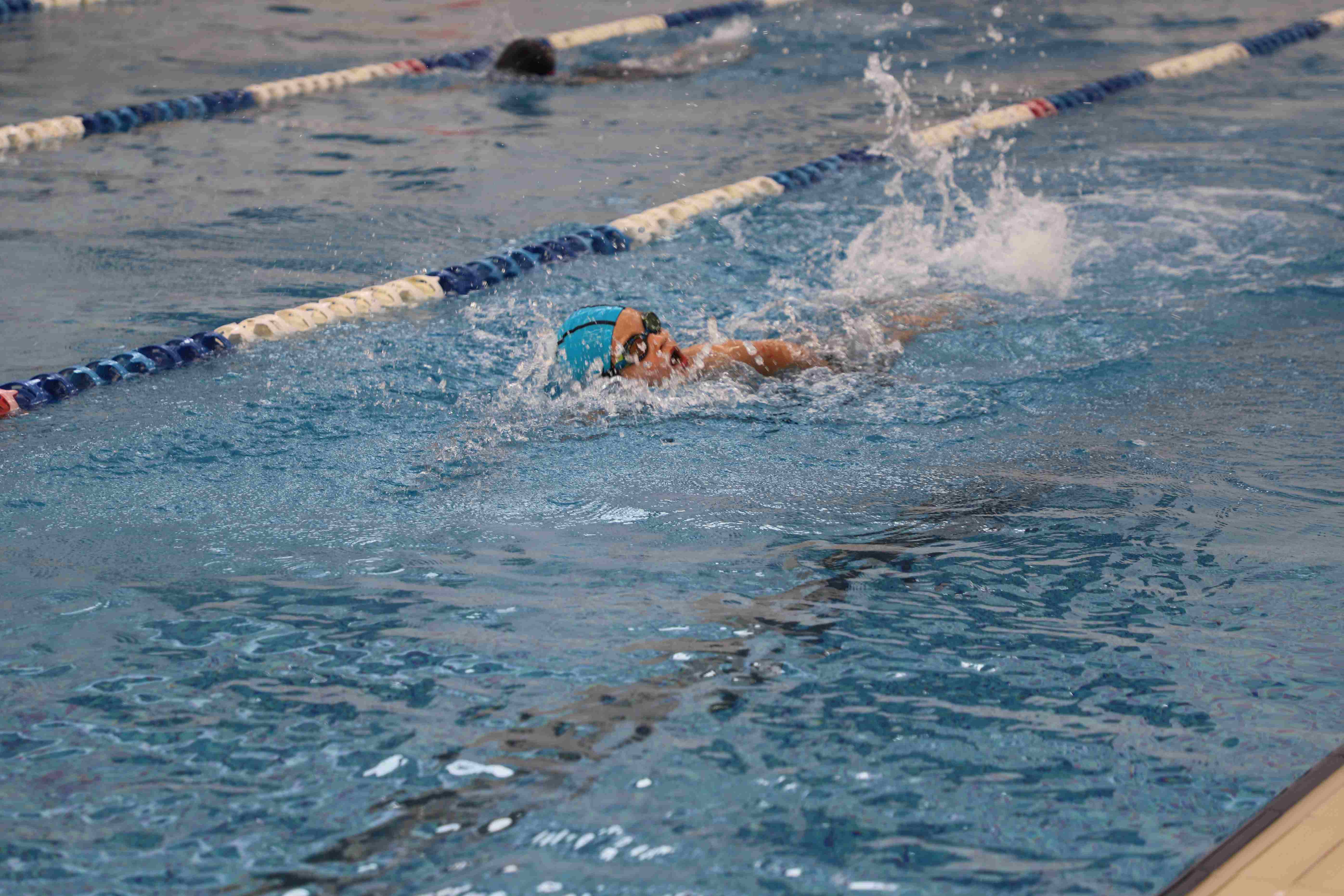 Term 2 CCA - Term 2 CCA