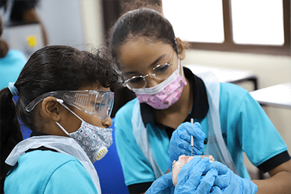 Year 6 Heart Dissection - Carousel For News Detail