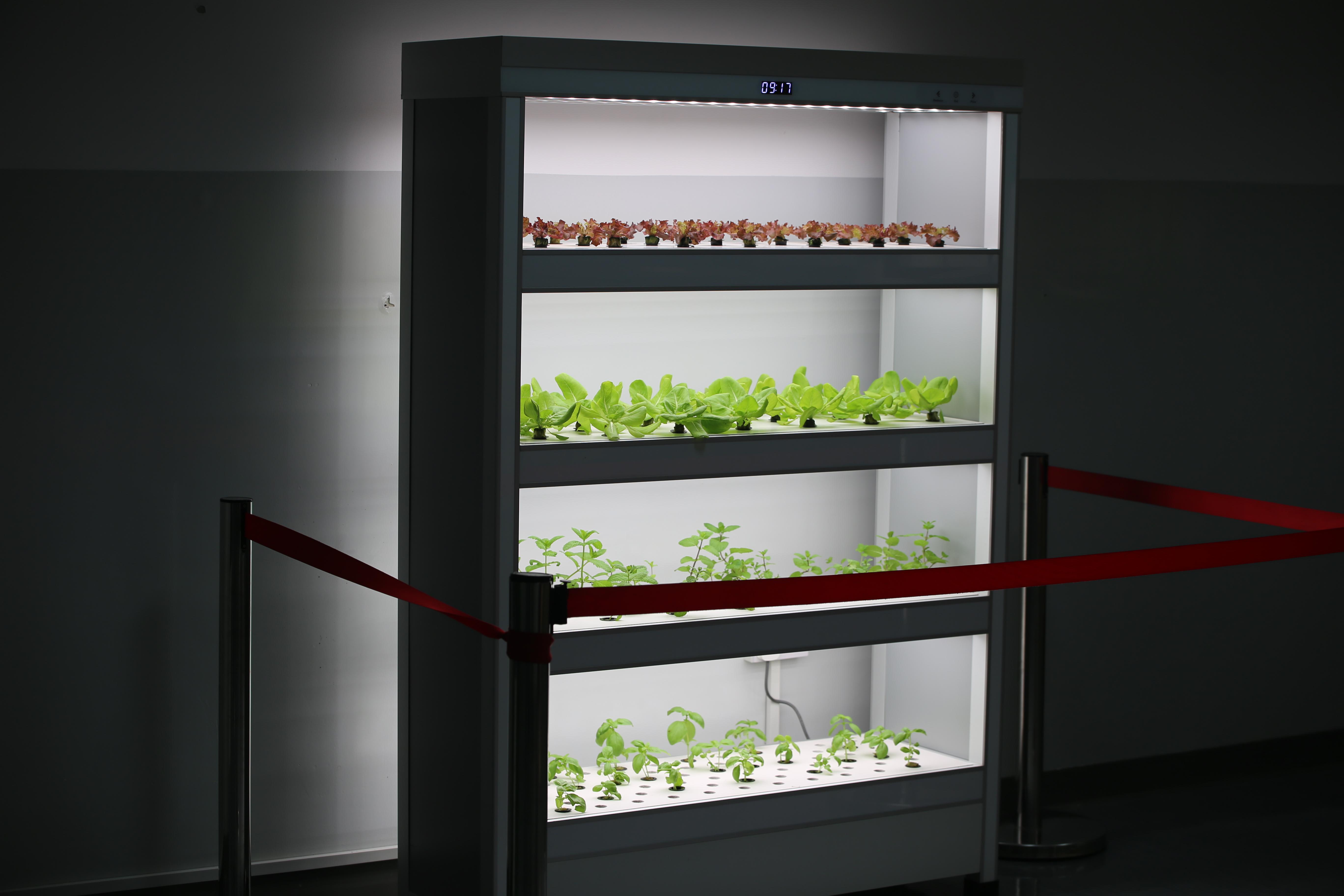 Vertical Hydroponic Garden - Carousel For News Detail