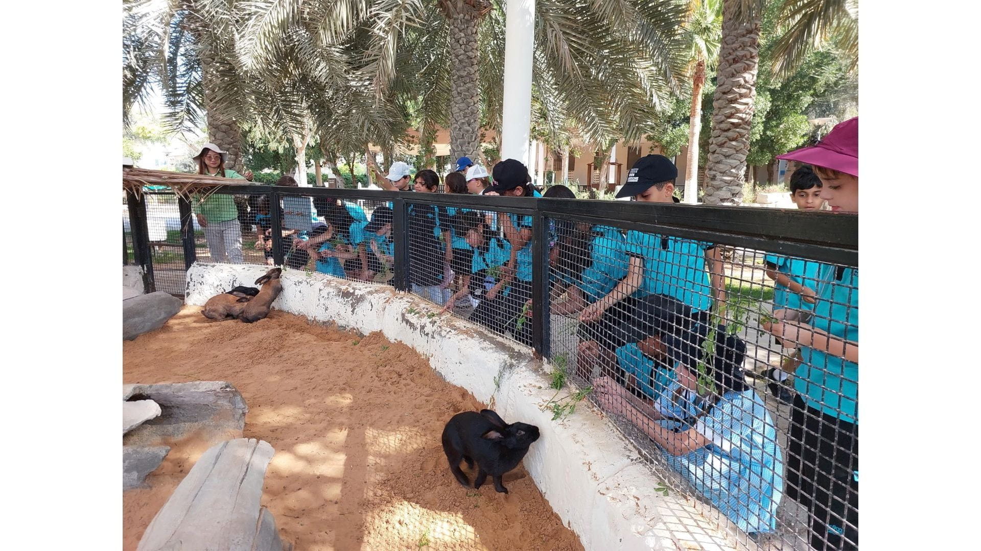 Year 3 Park Visit - Year 3 Park Visit