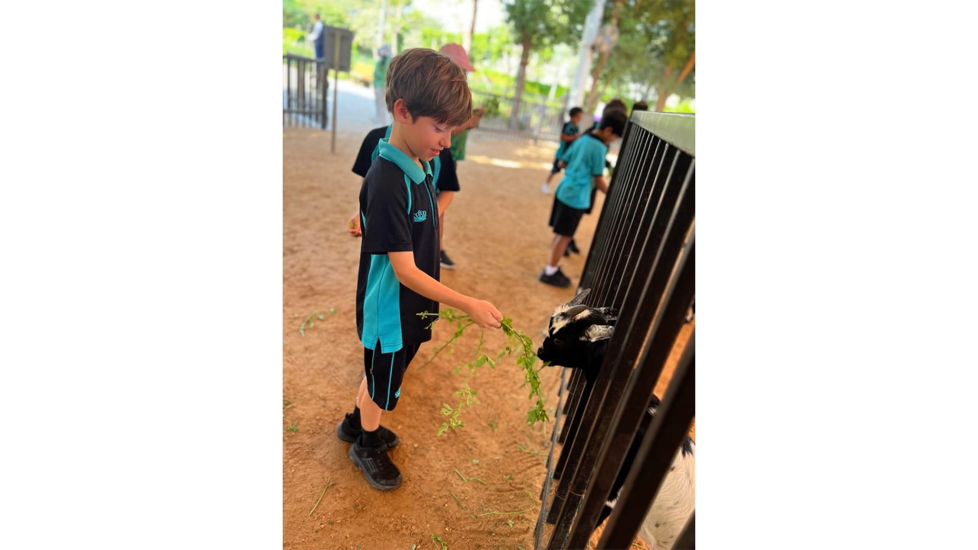 Year 3 Park Visit - Carousel For News Detail