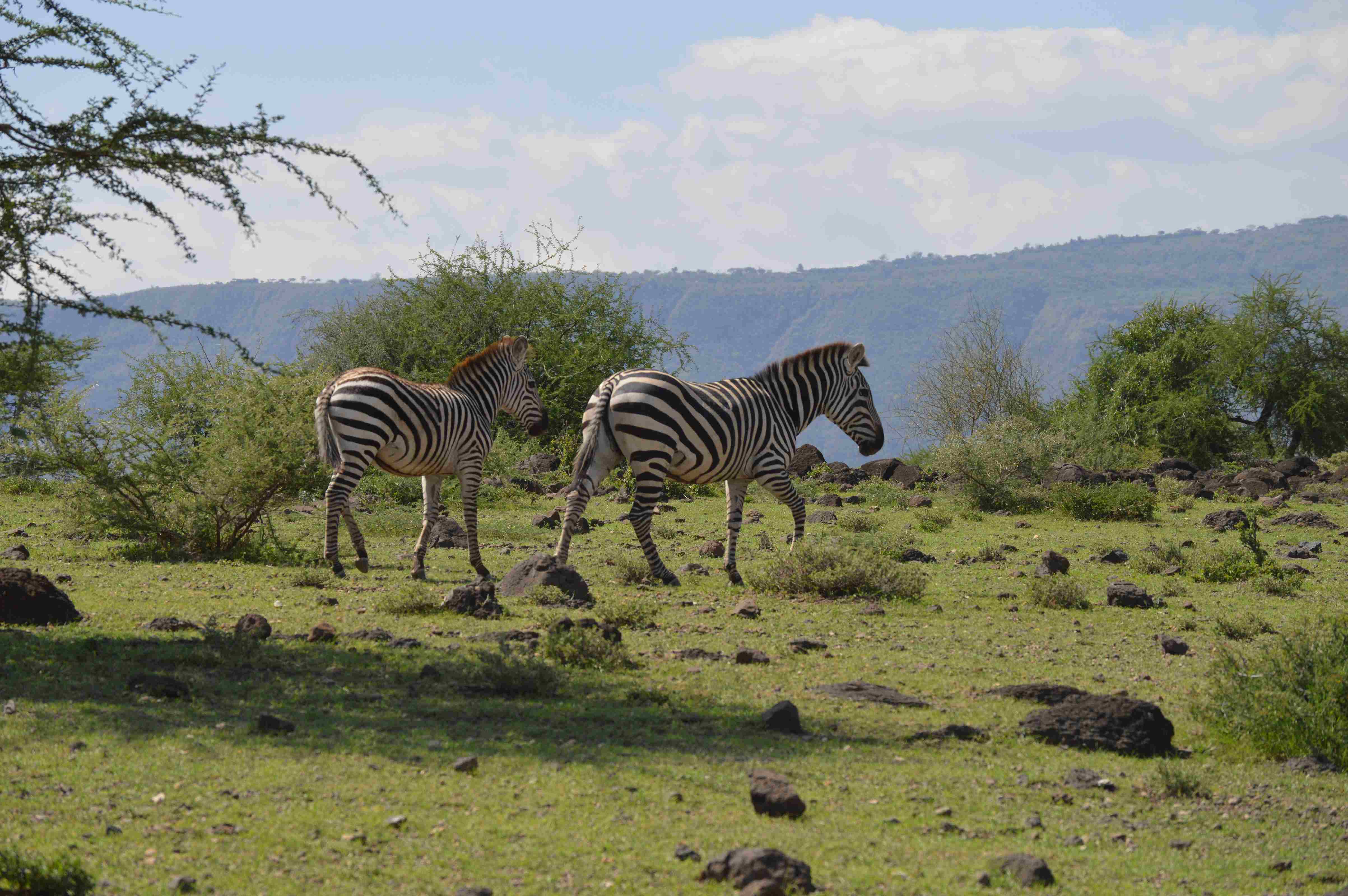 Tanzania Week - Carousel For News Detail